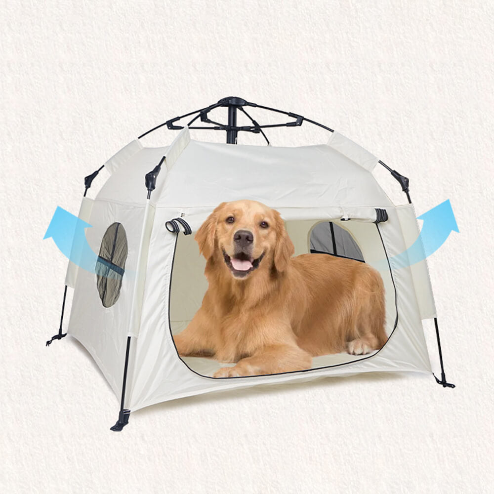 Tente pour chien portable de camping extérieur pliable automatique