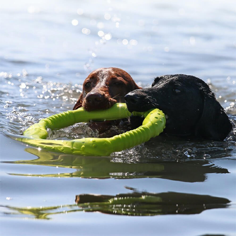 Anneau de guerre Jouet interactif pour chien durable, imperméable, léger et flexible