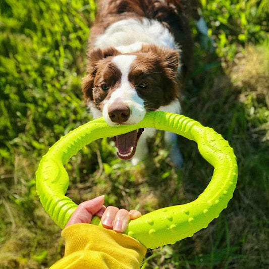 Anneau de guerre Jouet interactif pour chien durable, imperméable, léger et flexible
