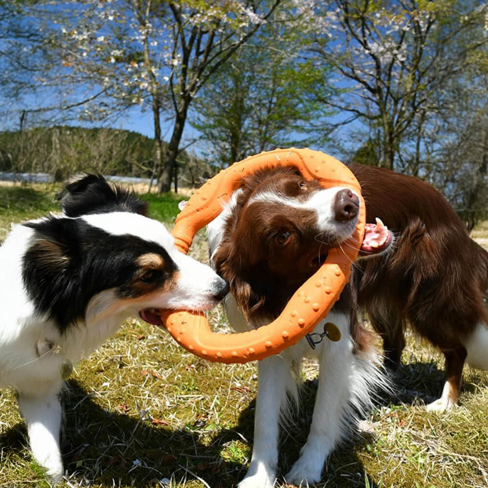 Anneau de guerre Jouet interactif pour chien durable, imperméable, léger et flexible