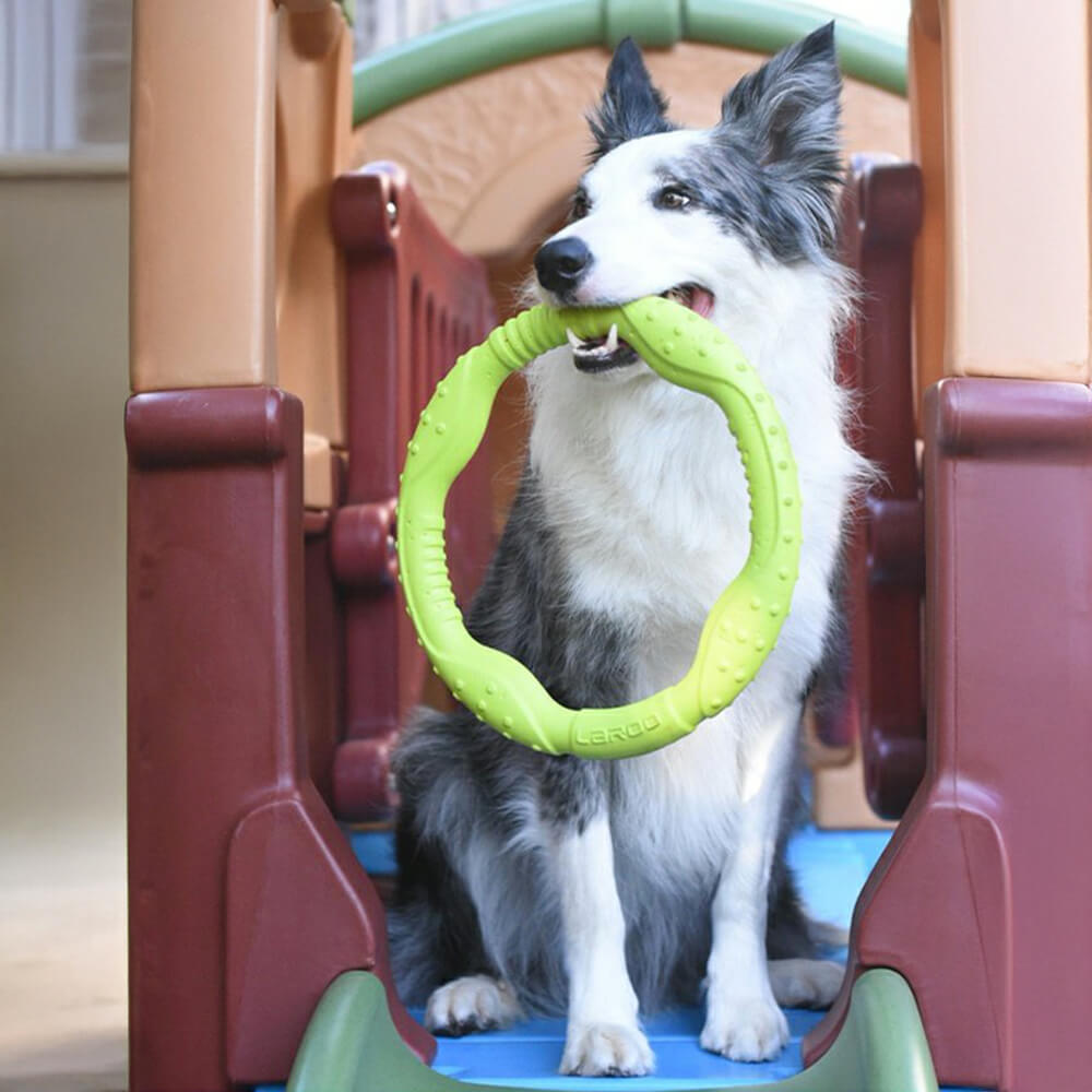 Anneau de guerre Jouet interactif pour chien durable, imperméable, léger et flexible