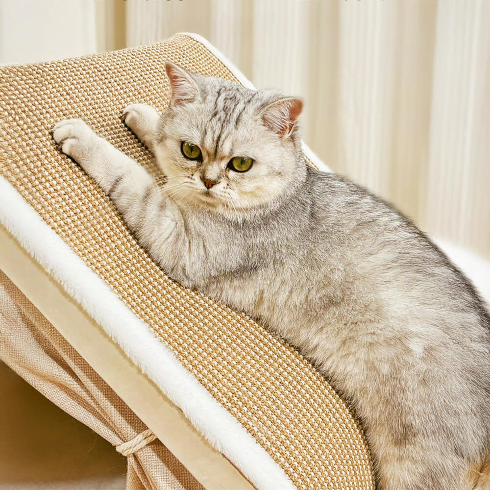 Tente pour chat tout-en-un avec toit grattant et zone de sommeil confortable
