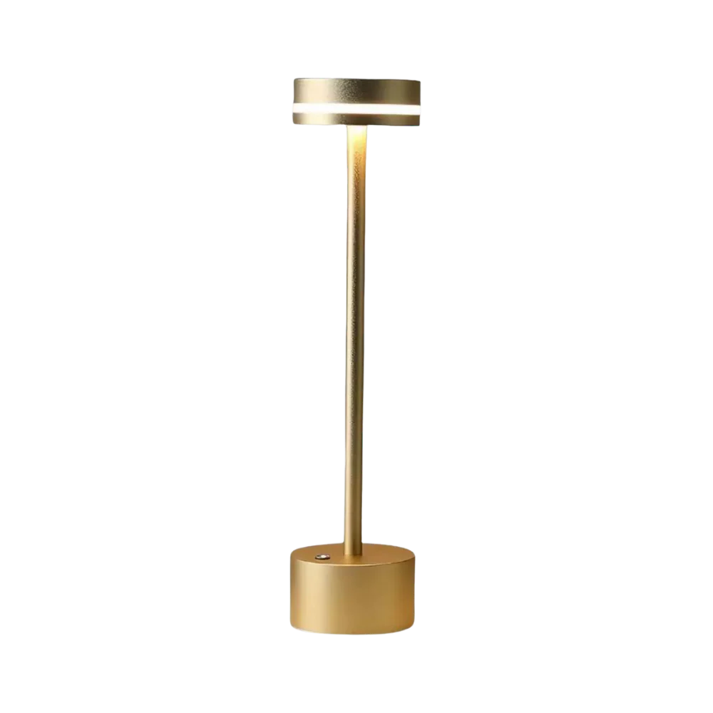 Lumière de rayonnement sans fil portable