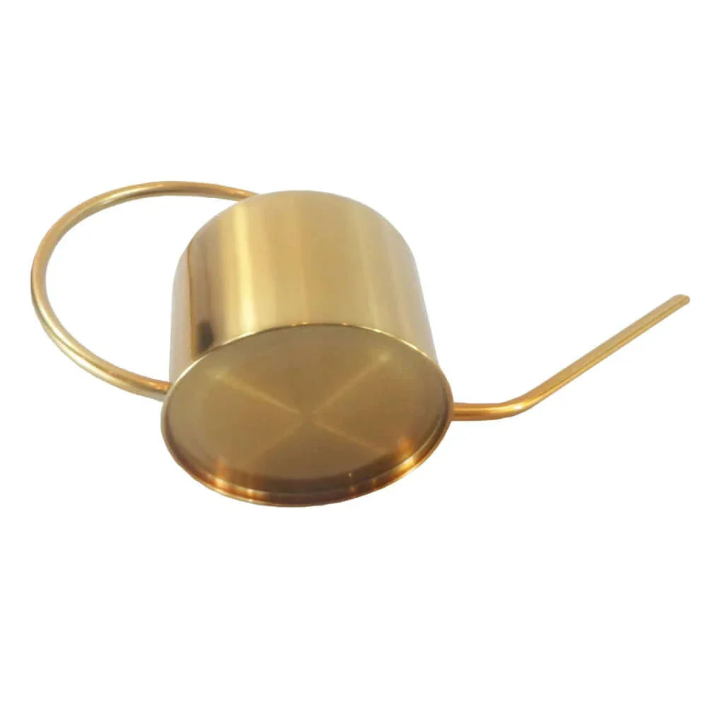 Arrosoir en acier inoxydable réutilisable avec bec long