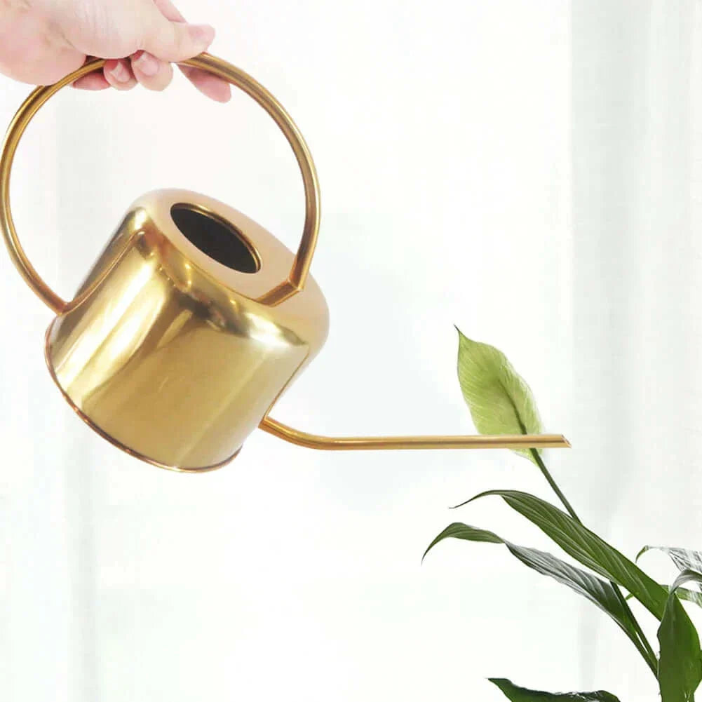 Arrosoir en acier inoxydable réutilisable avec bec long