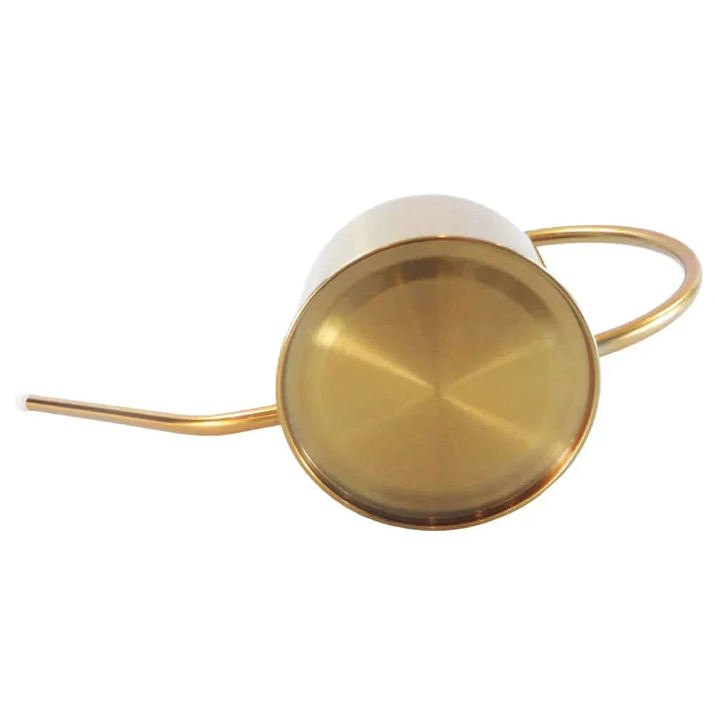 Arrosoir en acier inoxydable réutilisable avec bec long