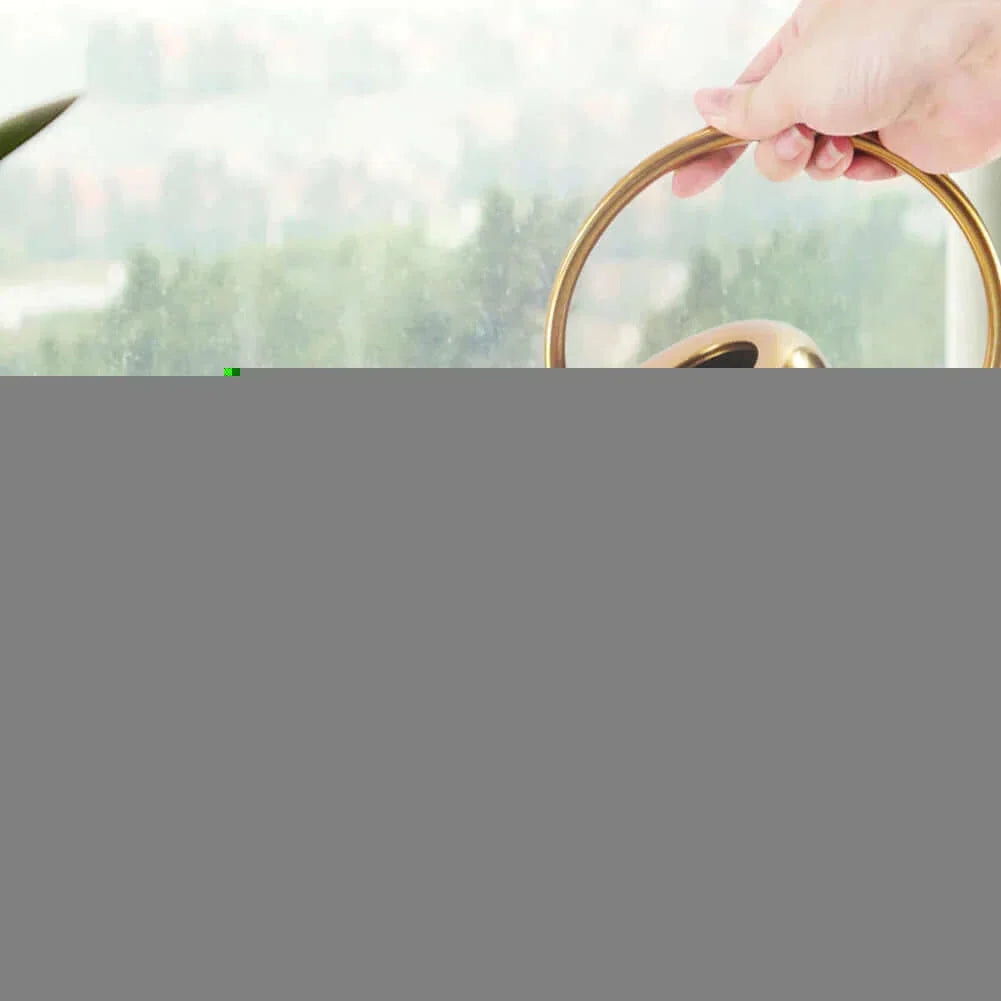 Arrosoir en acier inoxydable réutilisable avec bec long