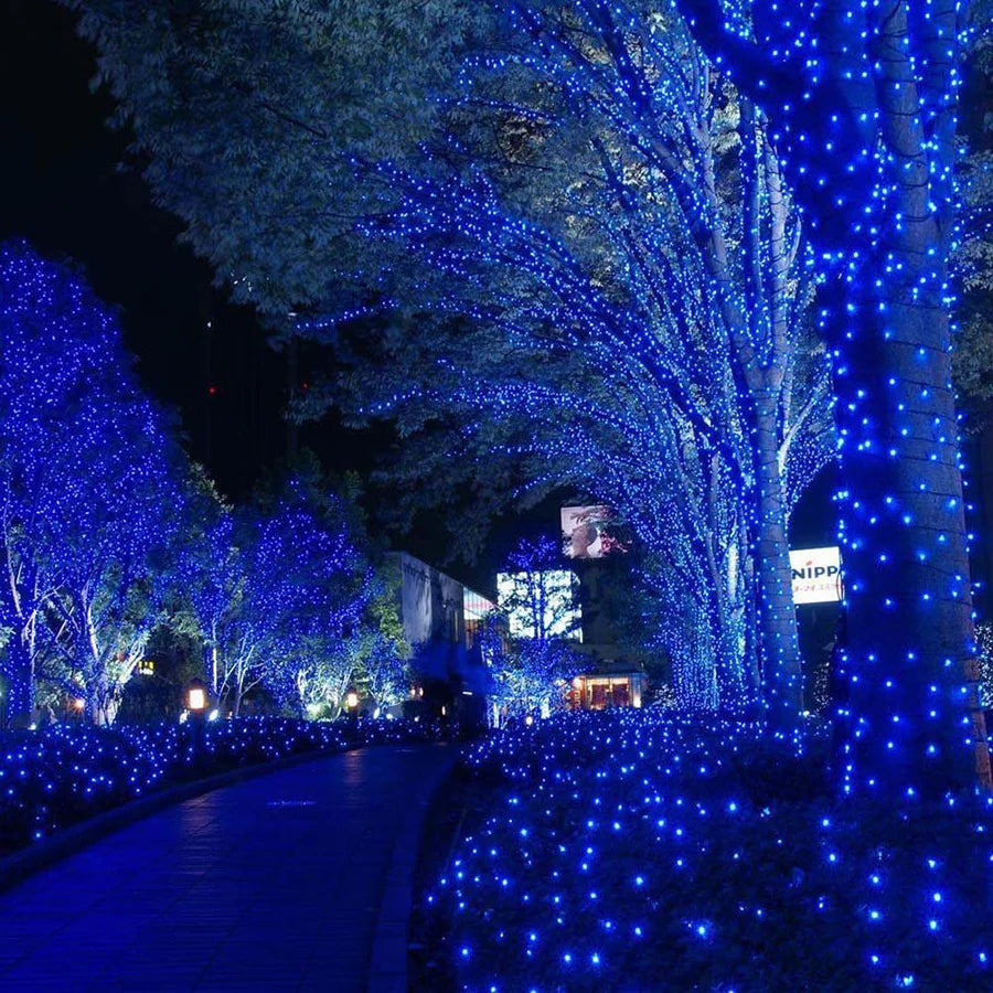 LumiFest – Guirlande Lumineuse Extérieure Festive