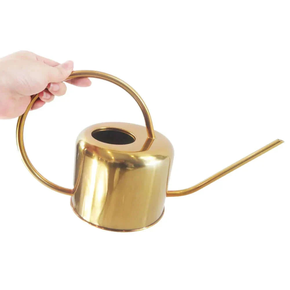 Arrosoir en acier inoxydable réutilisable avec bec long