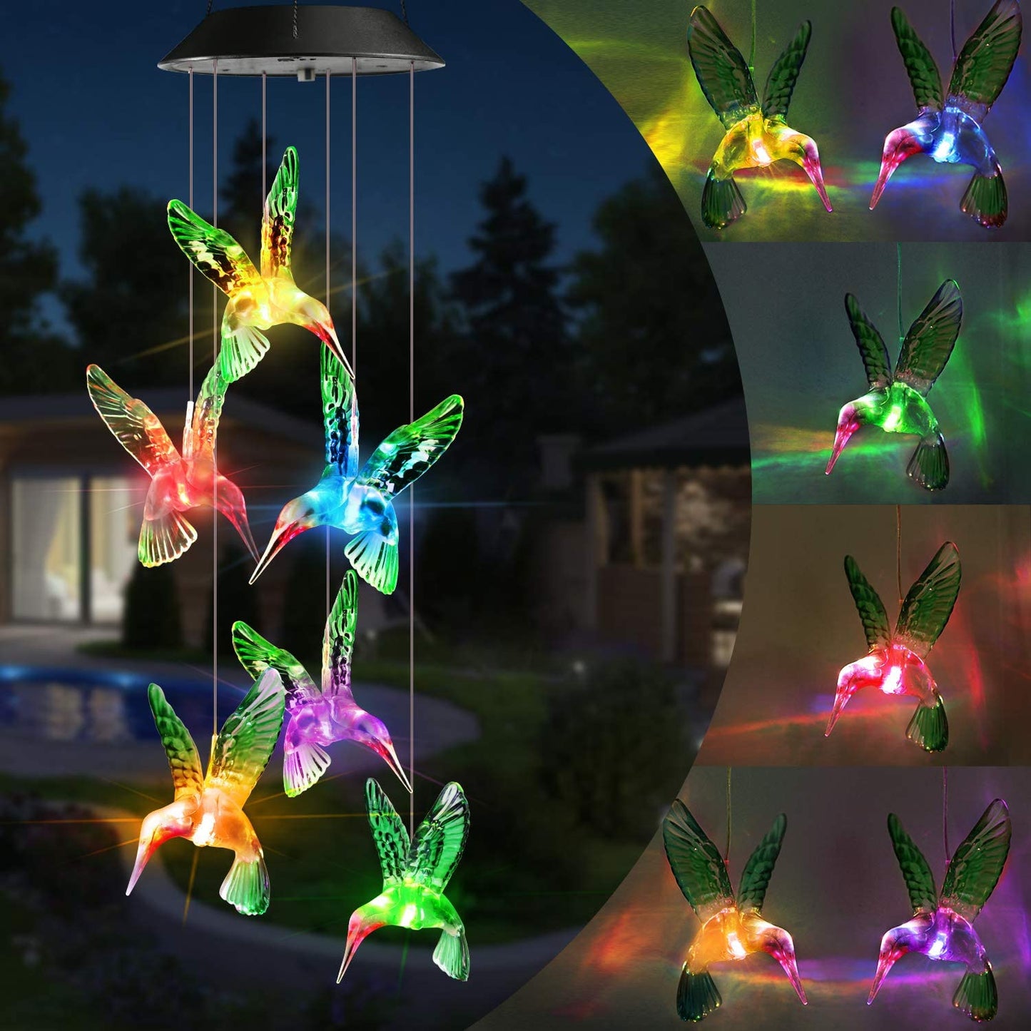EnchantedGlow - Éclairage de Jardin LED Solaire Colibri