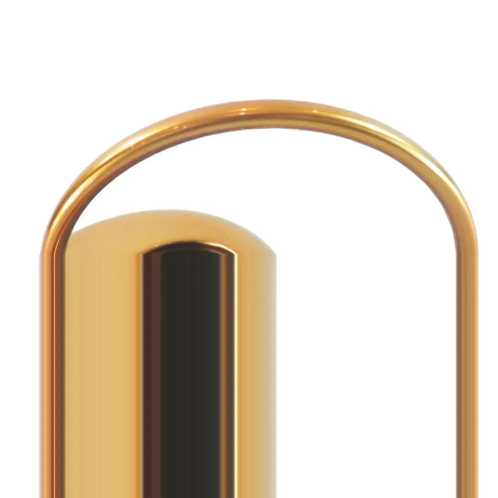 Arrosoir en acier inoxydable réutilisable avec bec long
