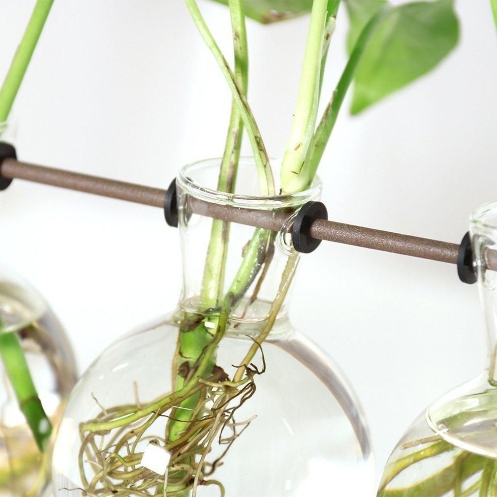 FaunaGrow Pots – Ensemble de culture durable pour plantes