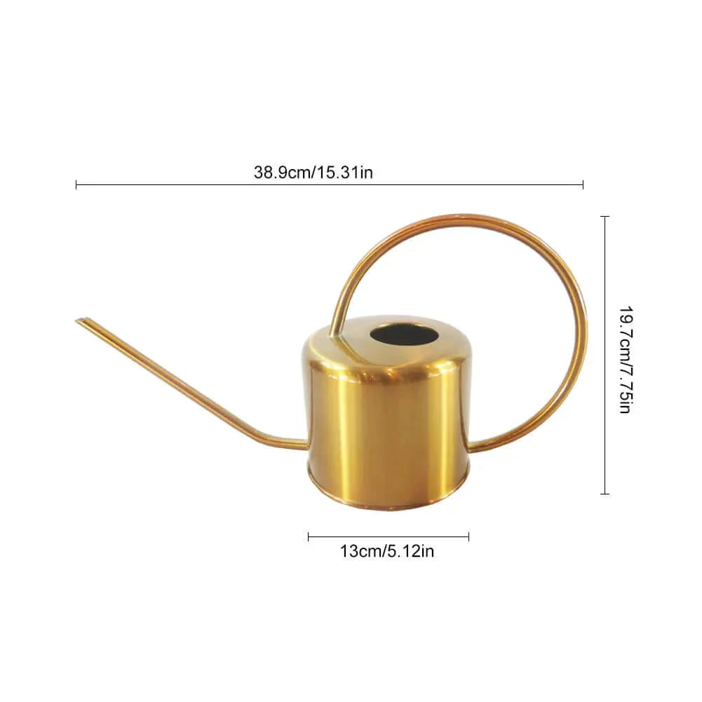Arrosoir en acier inoxydable réutilisable avec bec long