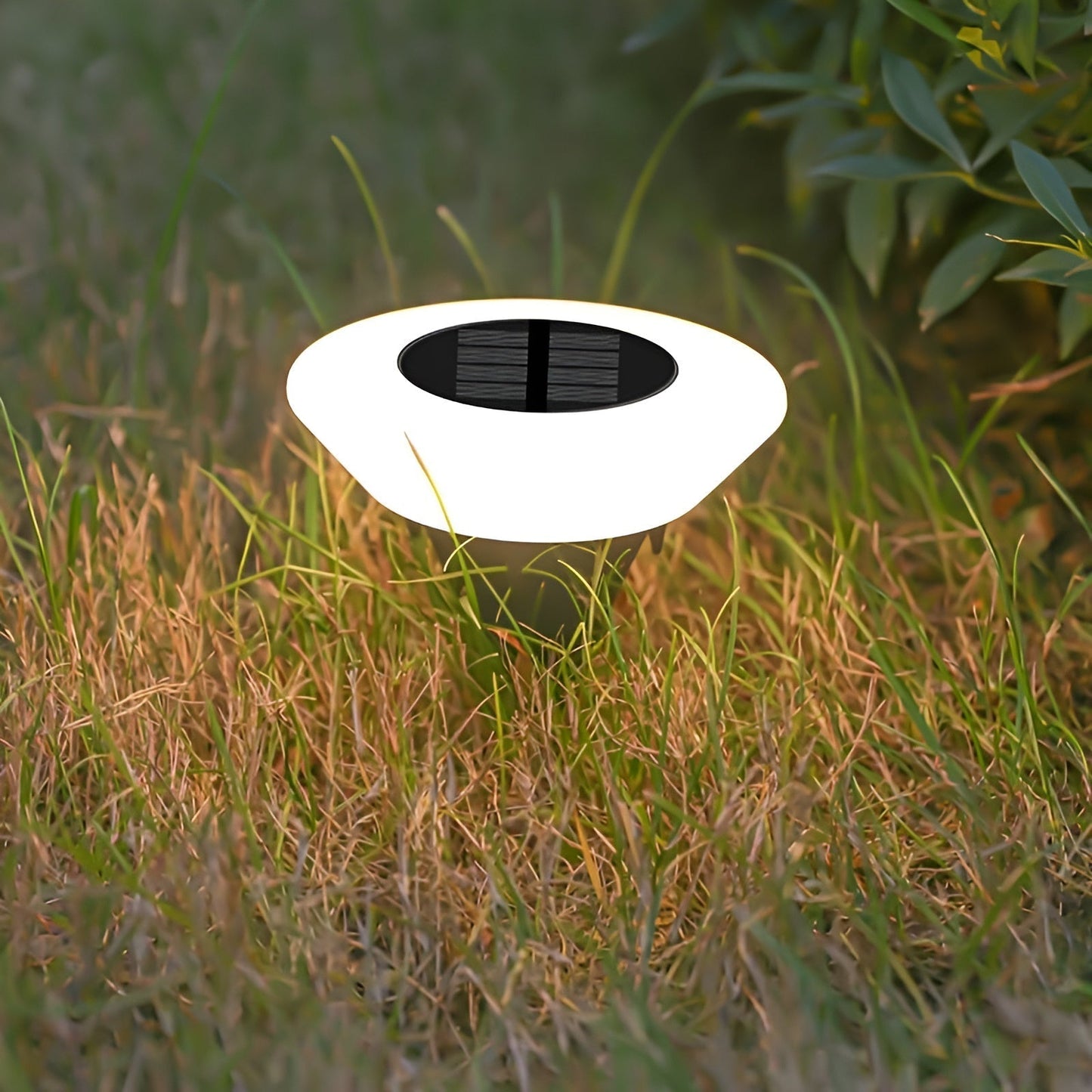 Floroux | Luminaire solaire LED de jardin pour une utilisation extérieure