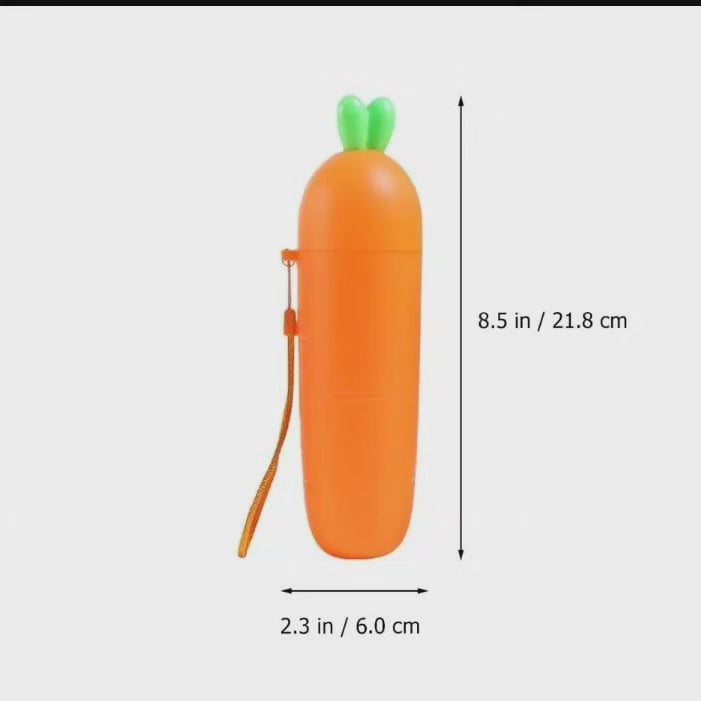 Support de brosse à dents sur le thème de la carotte 3 pièces