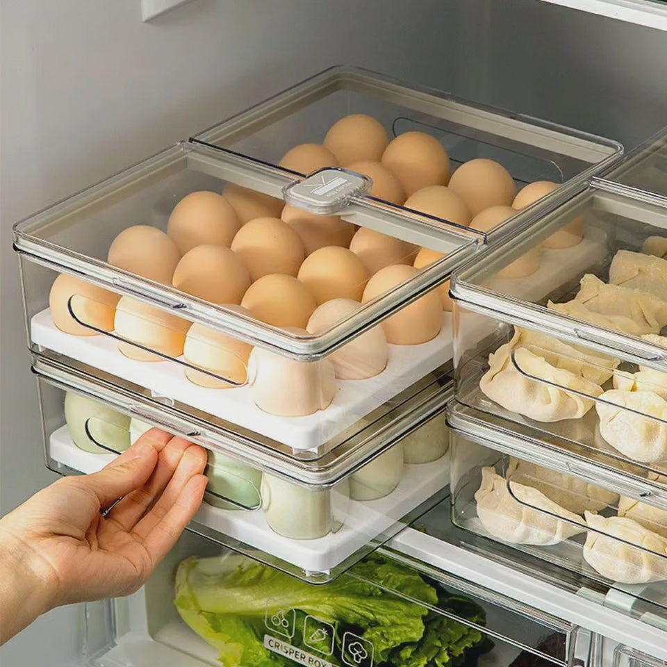 Boîte à œufs transparente avec couvercle