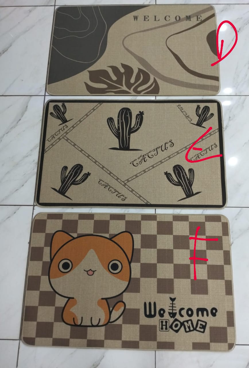 50*80cm Tapis de porte pour la maison