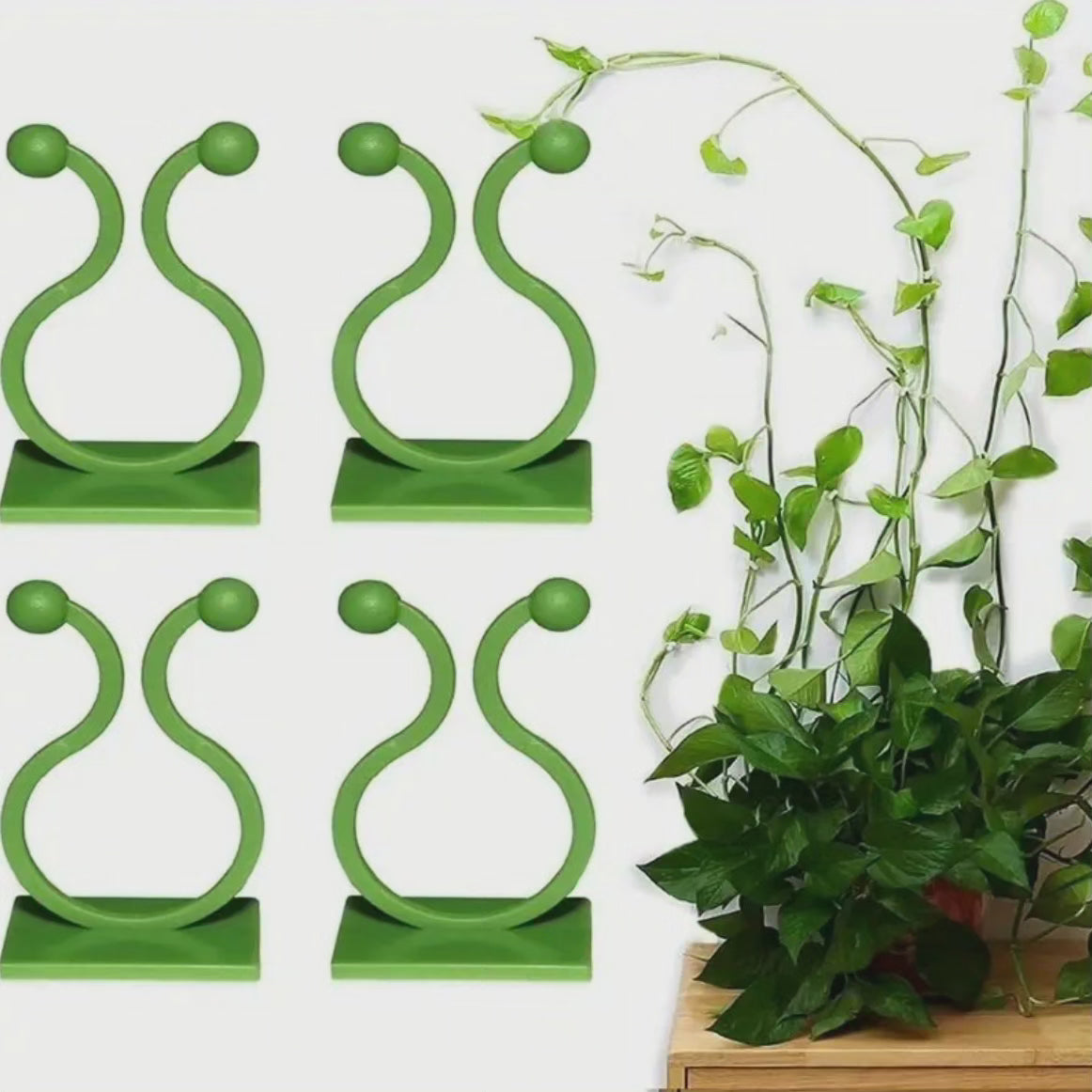 10pcs Clips Muraux de Plante Invisibles