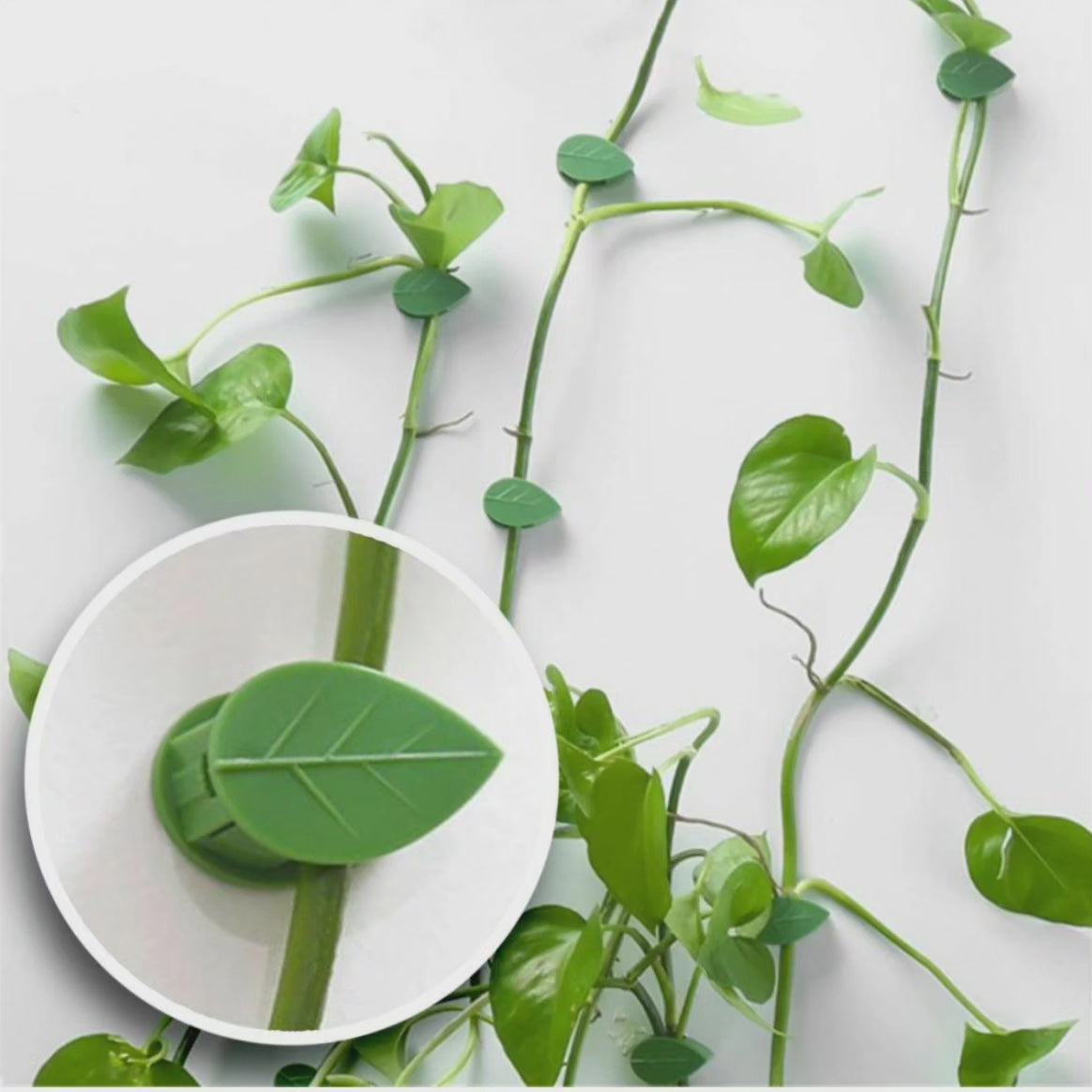 10pcs Clips Muraux de Plante Invisibles