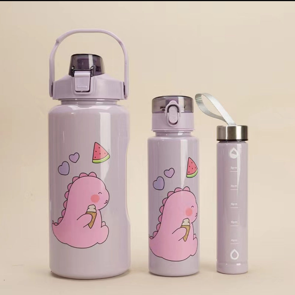 3 en 1 ensemble de bouteilles d'eau motivantes