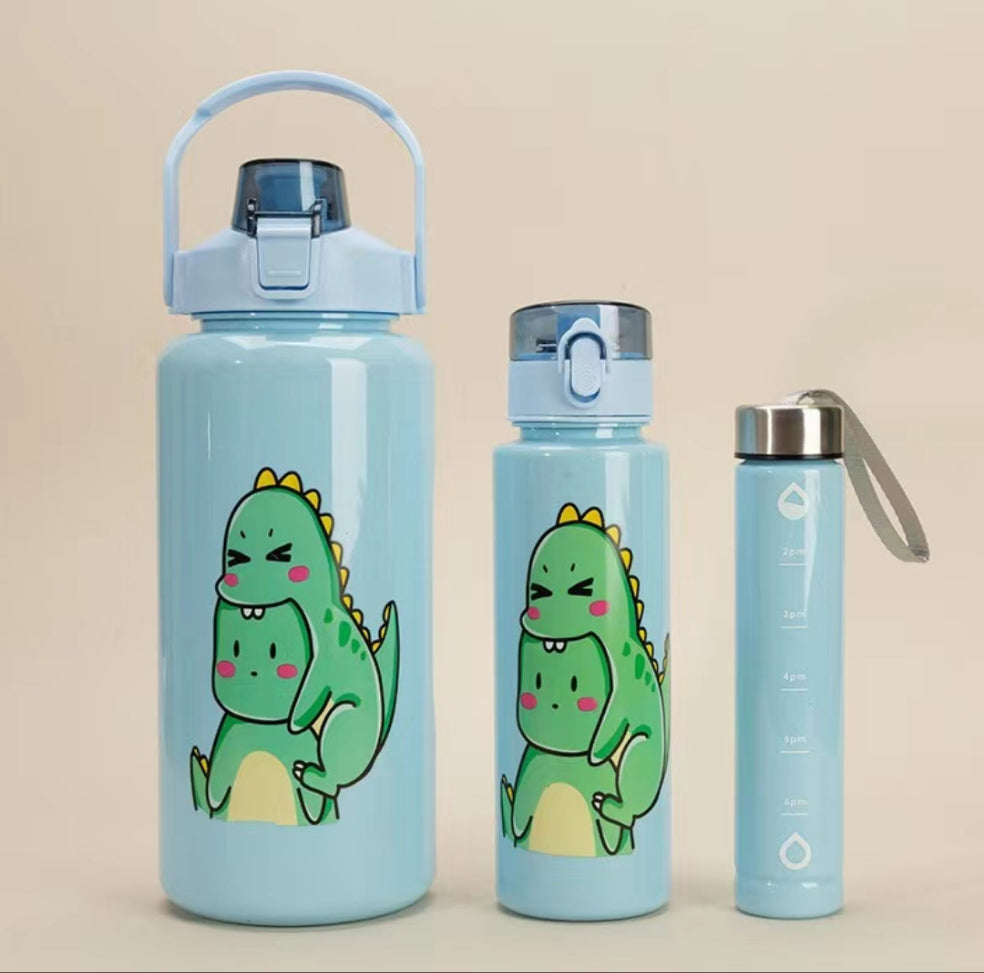 3 en 1 ensemble de bouteilles d'eau motivantes