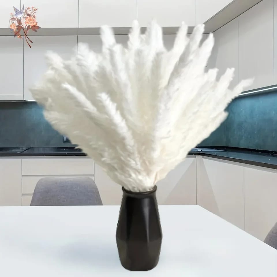 10pc Herbe de Pampas