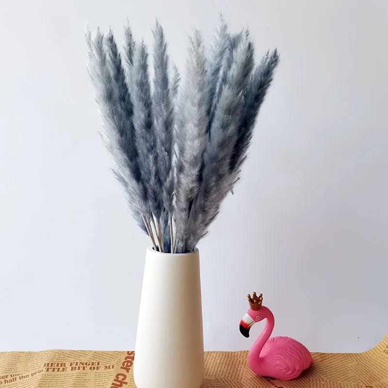 10pc Herbe de Pampas