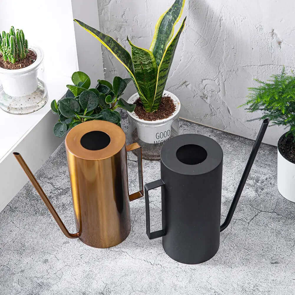 Arrosoir Bonsai japonais 1,5L