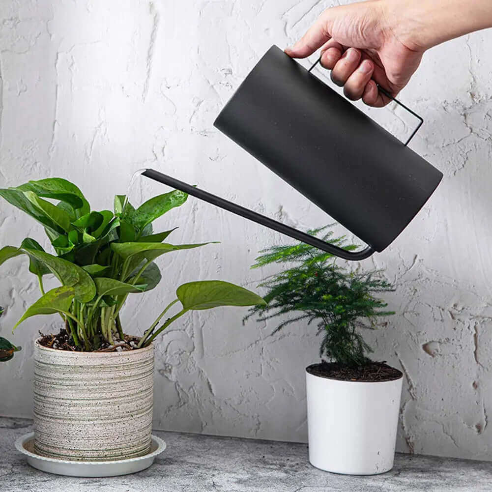 Arrosoir Bonsai japonais 1,5L