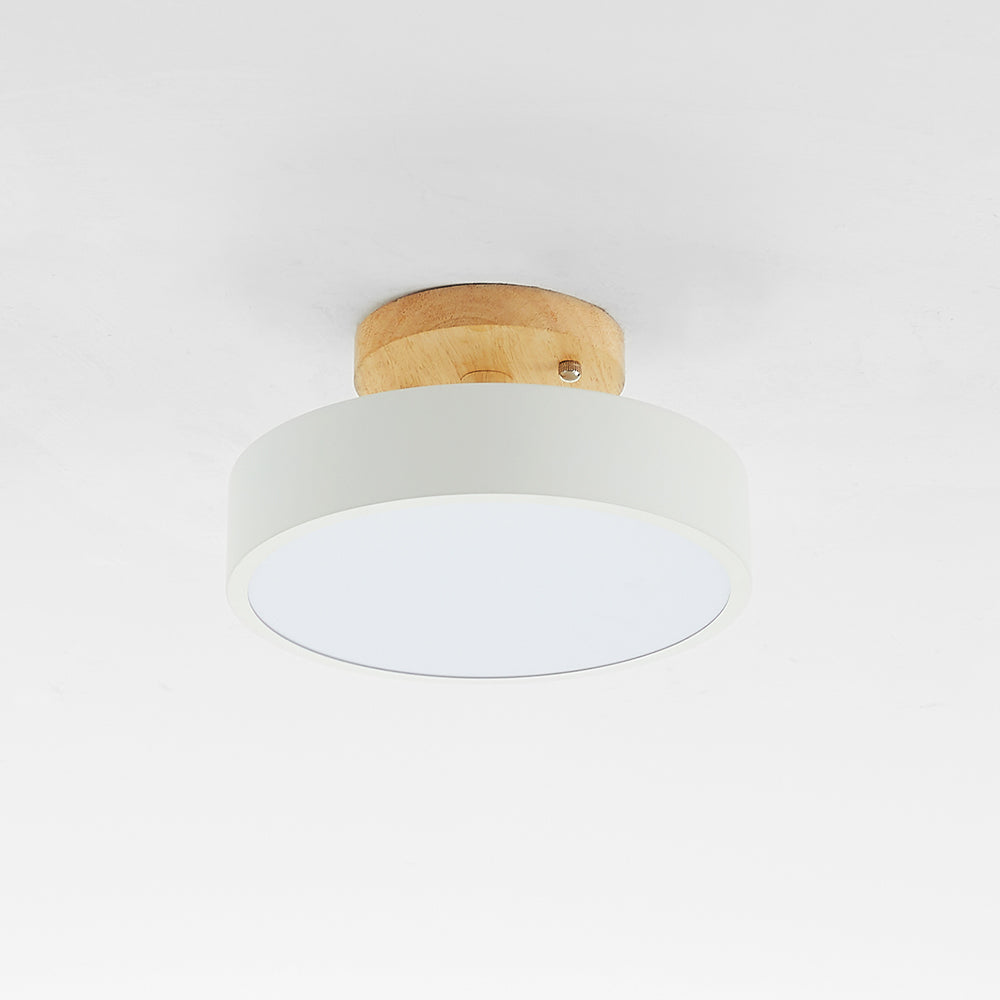 Floroux - Lampe de plafond LED moderne et élégante pour un éclairage intelligent
