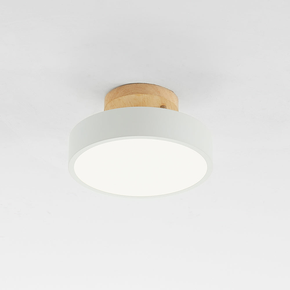 Floroux - Lampe de plafond LED moderne et élégante pour un éclairage intelligent
