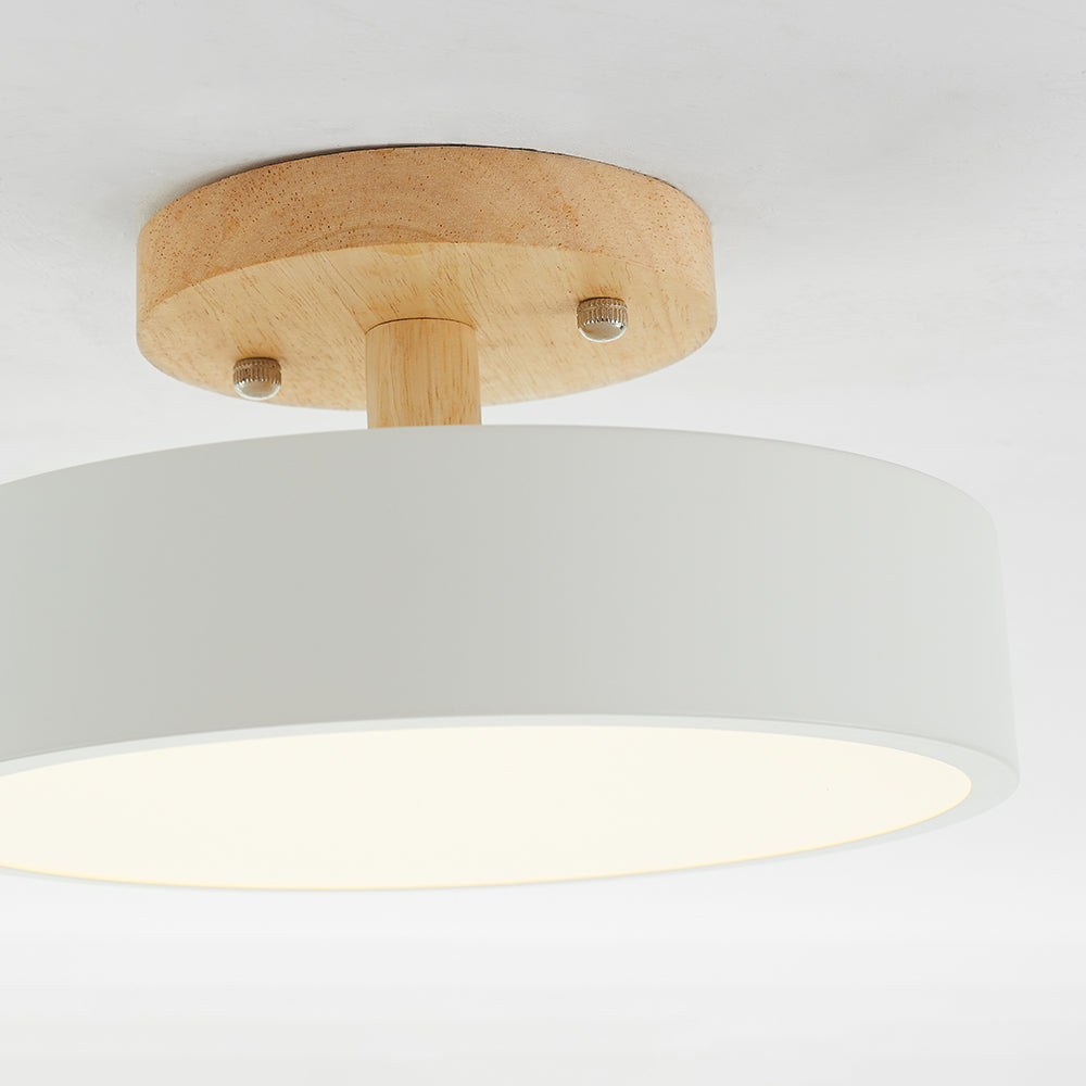 Floroux - Lampe de plafond LED moderne et élégante pour un éclairage intelligent