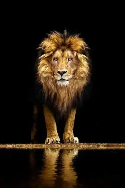 Lion dans l'obscurité Art sur toile