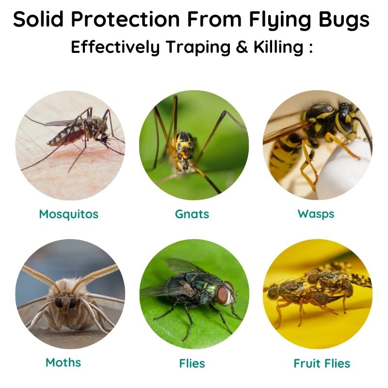 Piège à moustiques portable - Solution de contrôle des insectes écologique et sans produits chimiques pour une utilisation à domicile et en extérieur