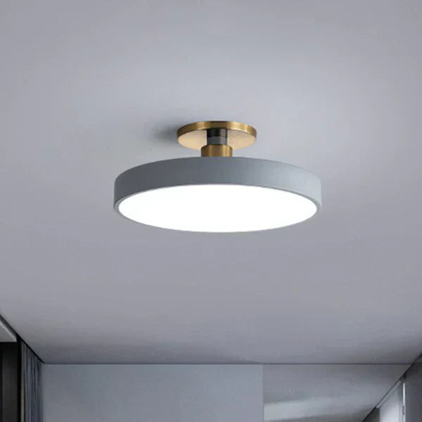 Floroux | Lampe de Plafond LED | Moderne Dimmable