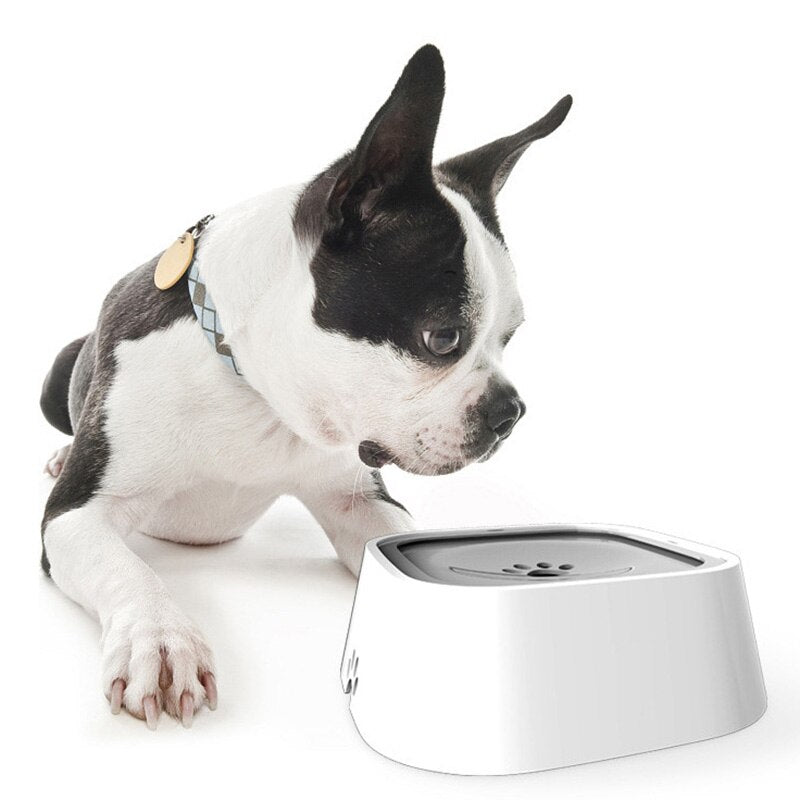 DrinkGuard - Gamelle Intelligente pour Chiens