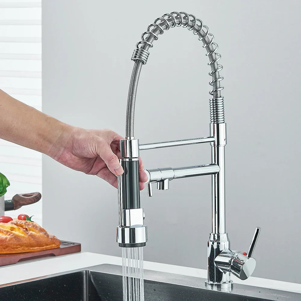 FlexiSpray Robinet - Robinet de Cuisine Flexible Moderne