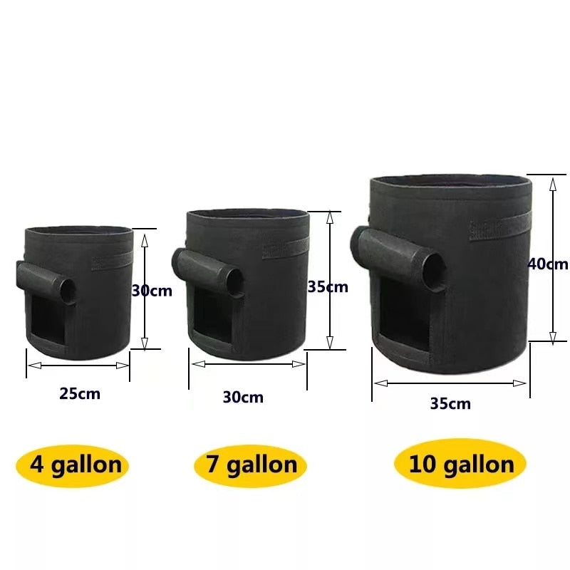 GrowMaster Pots – Pot de culture élégant pour légumes