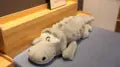 Floroux - Jouet en peluche crocodile mignon pour les enfants à câliner et à jouer