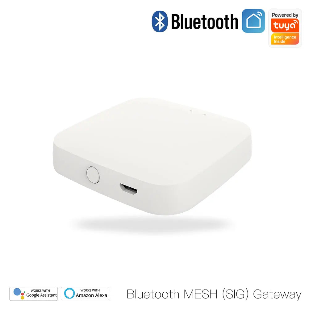Vanne d'irrigation automatique à minuterie Tuya Smart - Minuteur d'eau programmable WiFi Bluetooth via les applications SmartLife Google Alexa