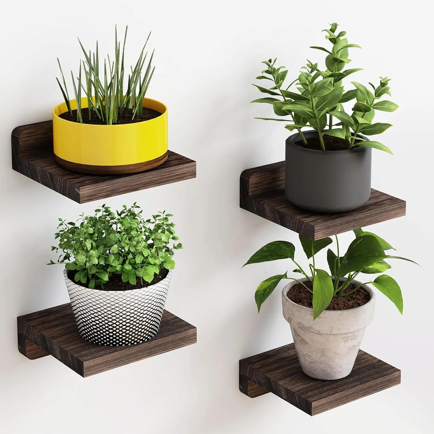 Petites étagères en bois flottant paquet de 4
