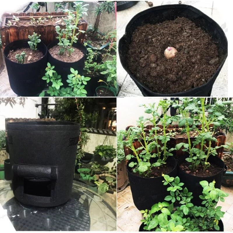GrowMaster Pots – Pot de culture élégant pour légumes
