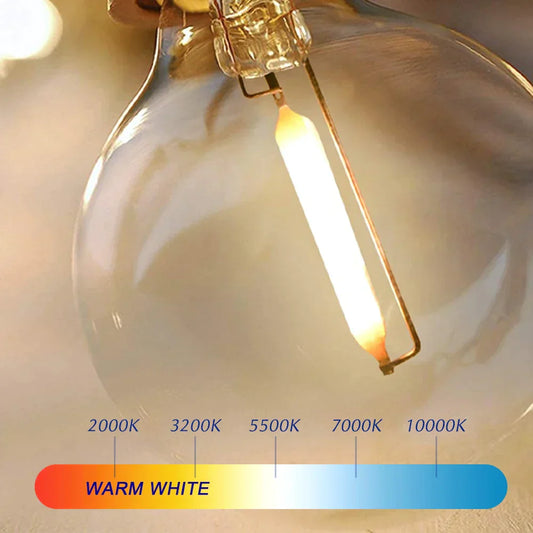 Floroux G40 String Lights | Warm White | Indoor and Outdoor | Terrace and Garden Decoration