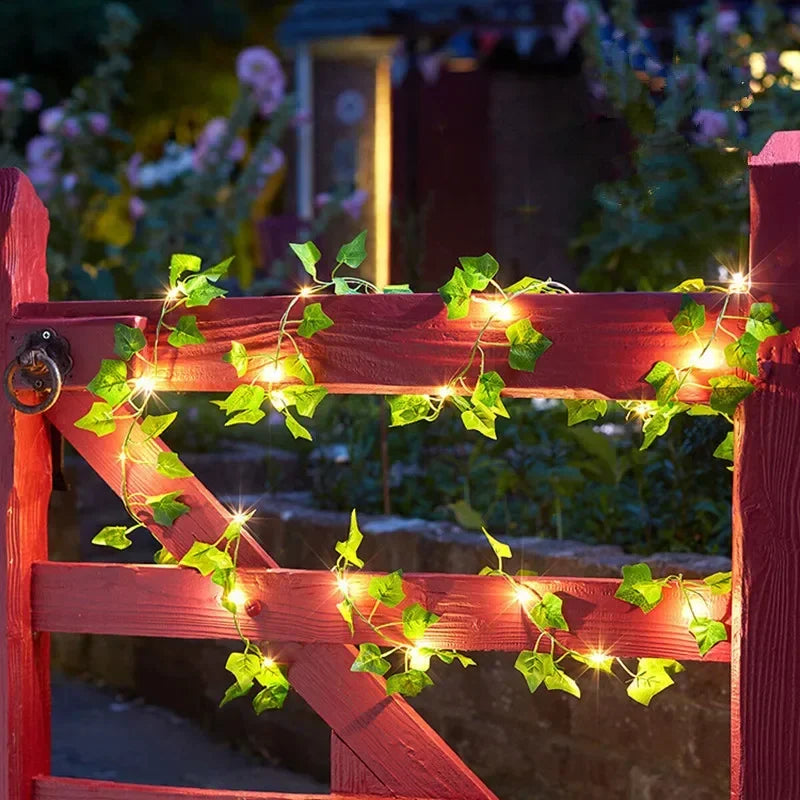 LumiVigne – Guirlandes Lumineuses Décoratives