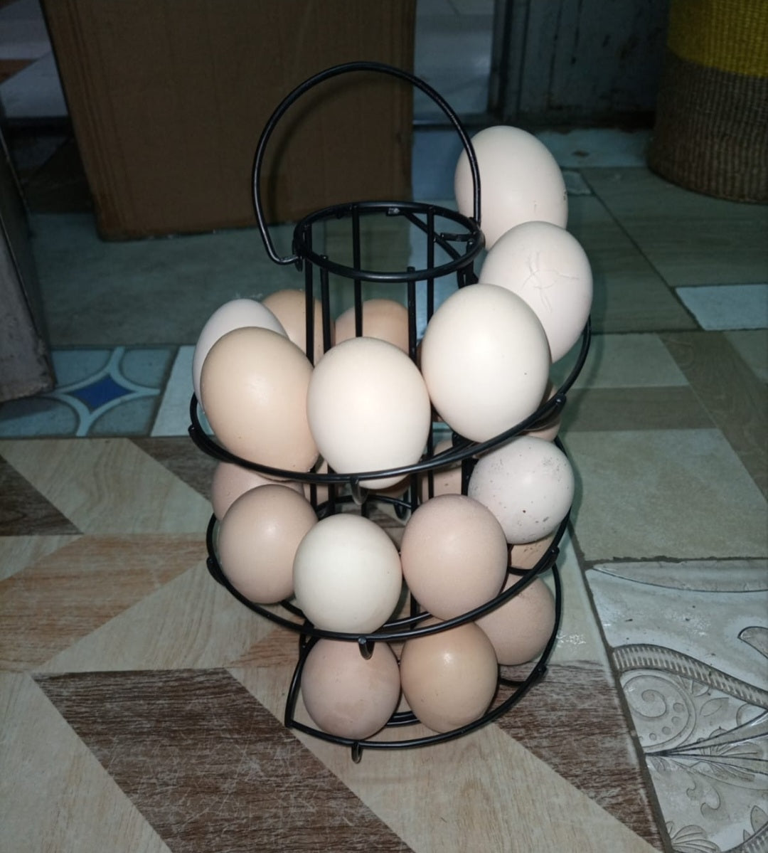 24Pcs Support à œufs en spirale