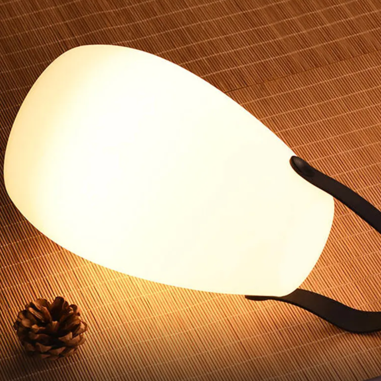 Floroux Lampe Extérieure Étanche | Résistante aux Intempéries | Design Moderne | Éclairage LED