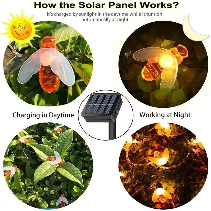 SolarBee – Guirlande lumineuse alimentée par solar pour l'extérieur