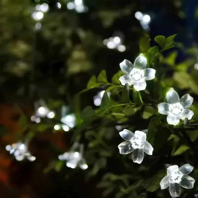 Floroux | Lampes solaires pour le jardin dans des designs floraux