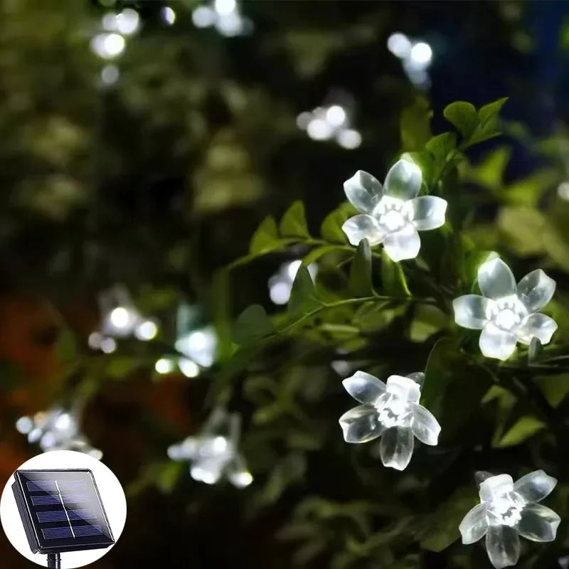 Floroux - Solar jardin lumière de fleurs