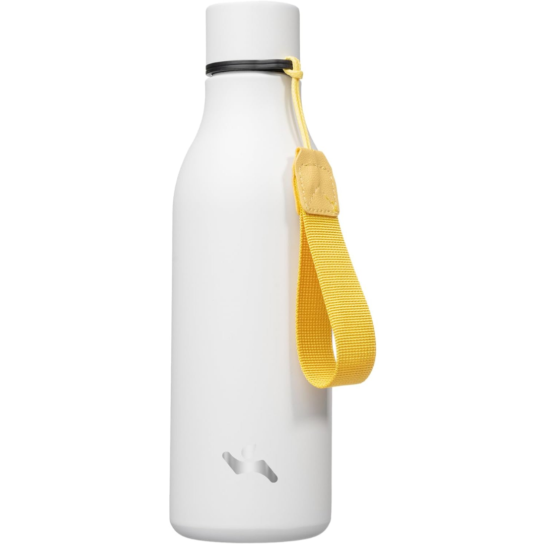 CoolFlow – Bouteille d'eau en acier inoxydable élégante avec poignée